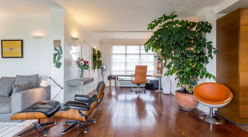 Photo of Parisian Grace