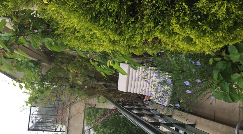 Photo of Parisian Grace