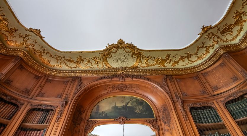 Photo of Sophisticated in Paris