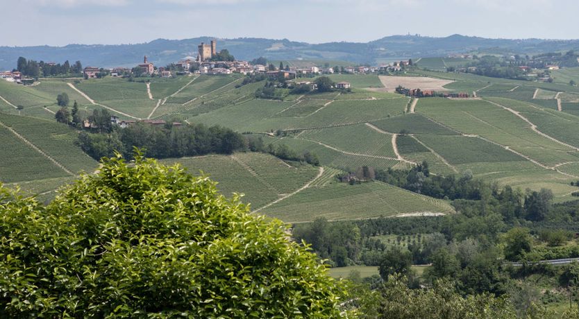 Photo of Three Woolen Pillows
