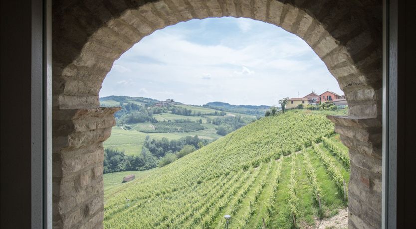 Photo of Three Woolen Pillows