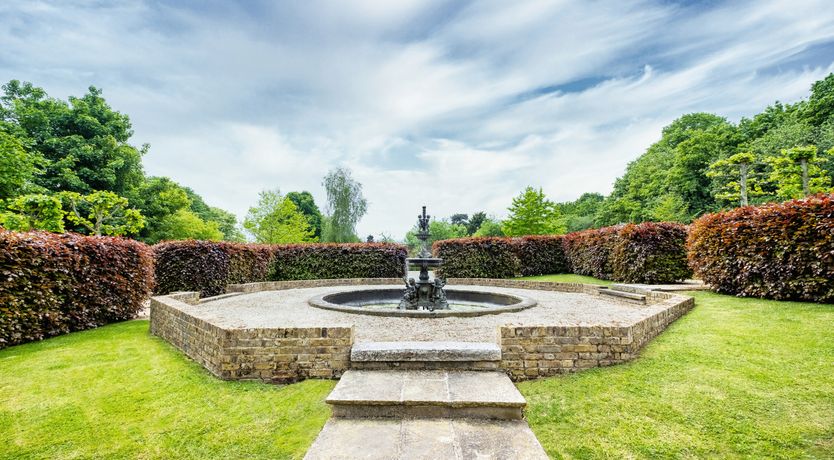 Photo of The Art of Looking