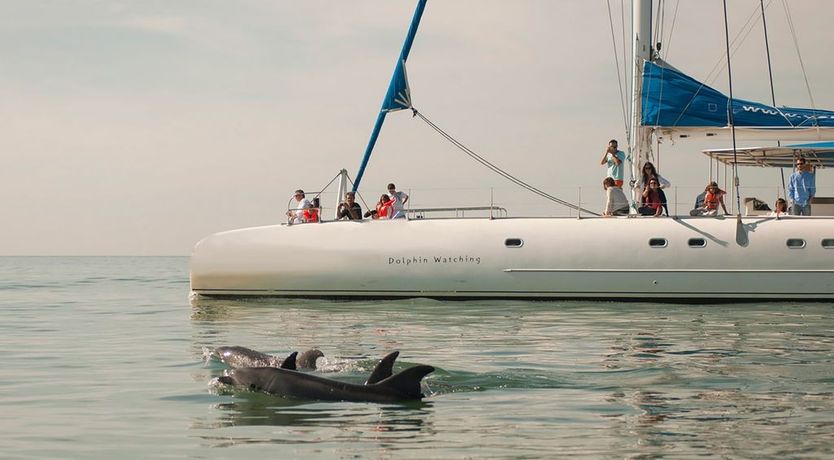 Photo of Caught By The Ocean