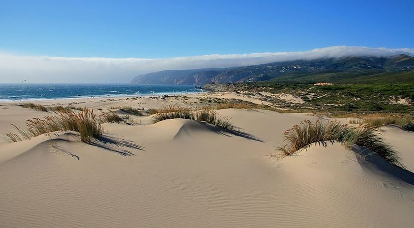 Photo of Caught By The Ocean