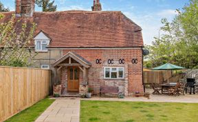 Photo of in Godshill Wood (94495)