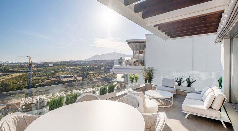 Photo of Sunshine Delight