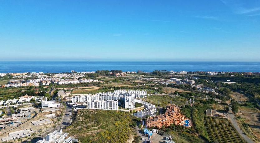 Photo of Sunshine Delight