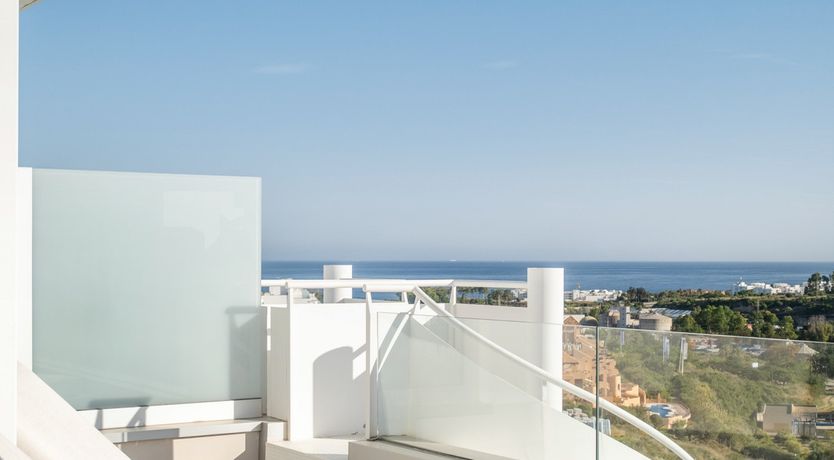 Photo of Sunshine Delight