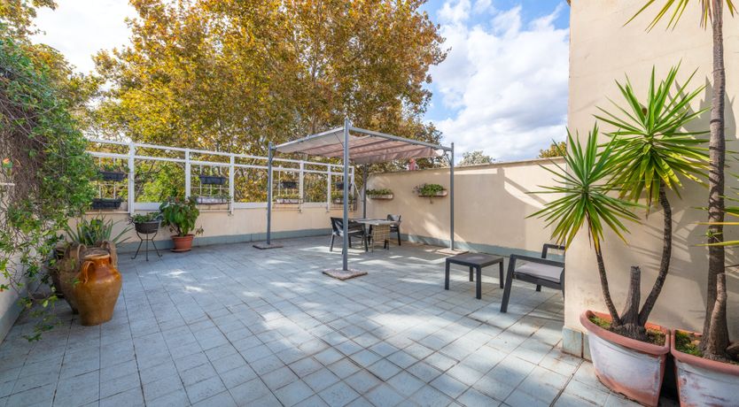 Photo of Maggiore Melody