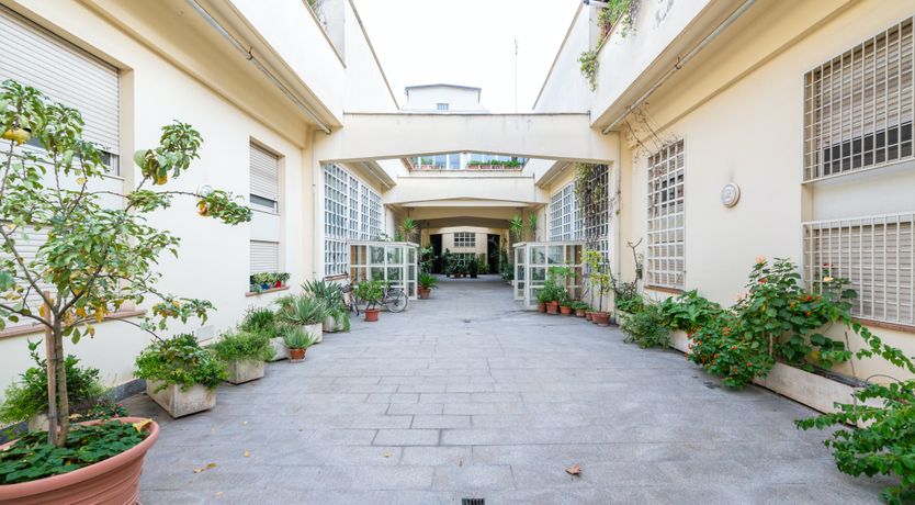 Photo of Maggiore Melody