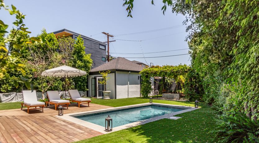 Photo of Americana in Bloom