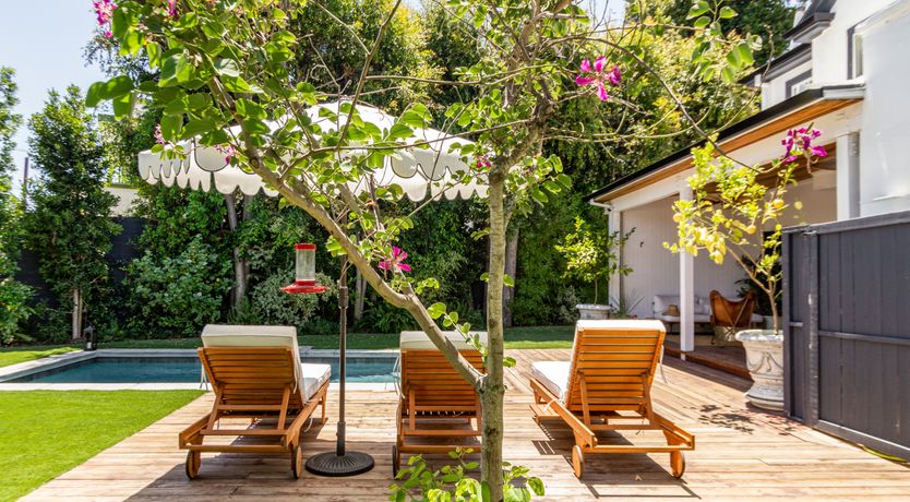 Photo of Americana in Bloom