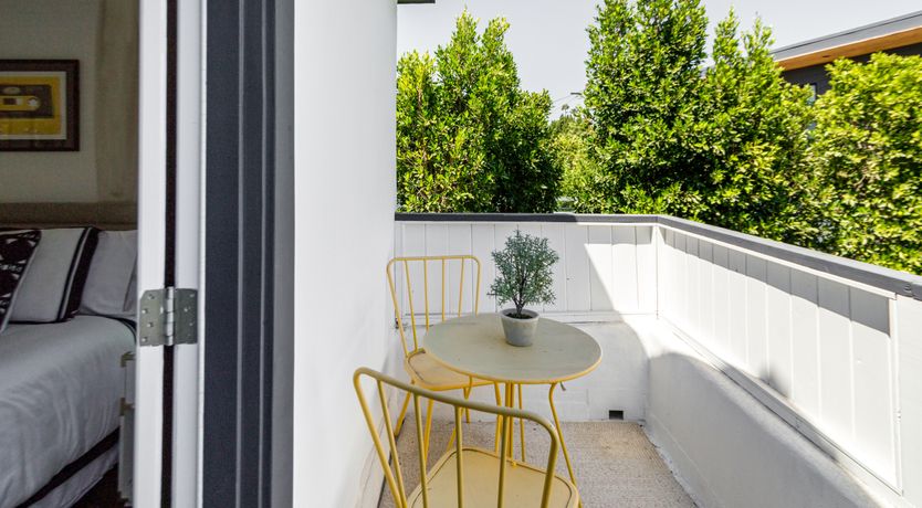 Photo of Americana in Bloom