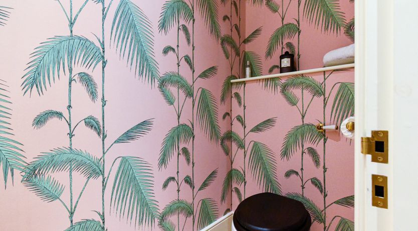 Photo of Holland Bliss