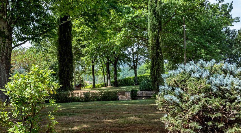 Photo of Canopy of Elegance