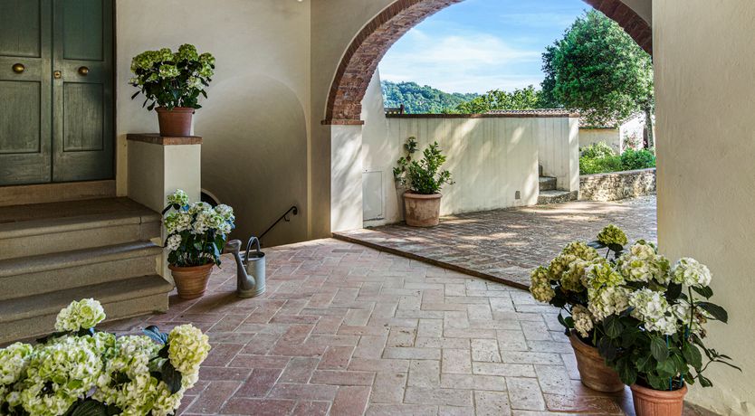 Photo of Canopy of Elegance