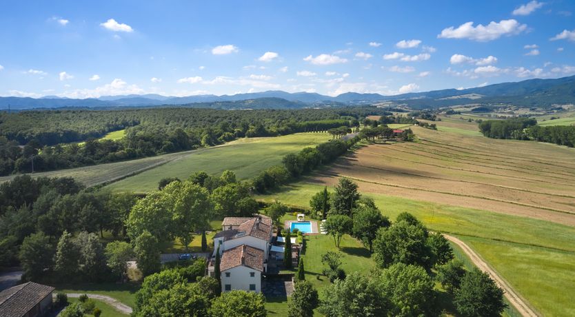 Photo of Canopy of Elegance