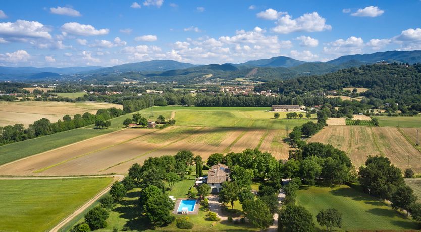 Photo of Canopy of Elegance