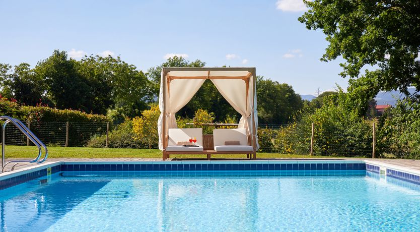 Photo of Canopy of Elegance