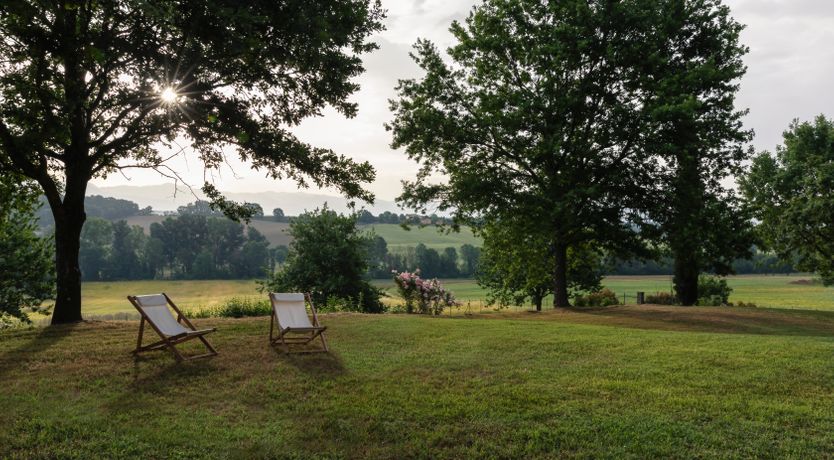 Photo of Canopy of Elegance