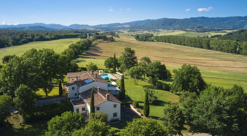 Photo of Canopy of Elegance