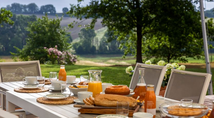 Photo of Canopy of Elegance