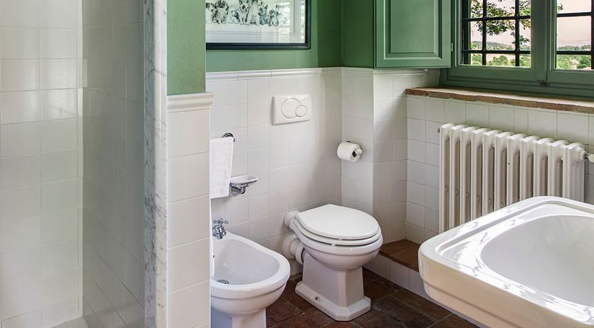 Photo of Canopy of Elegance