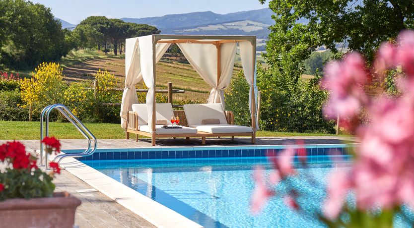 Photo of Canopy of Elegance