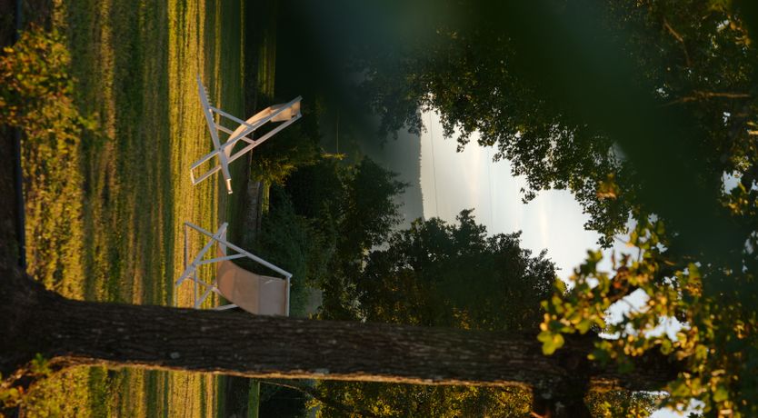 Photo of Canopy of Elegance