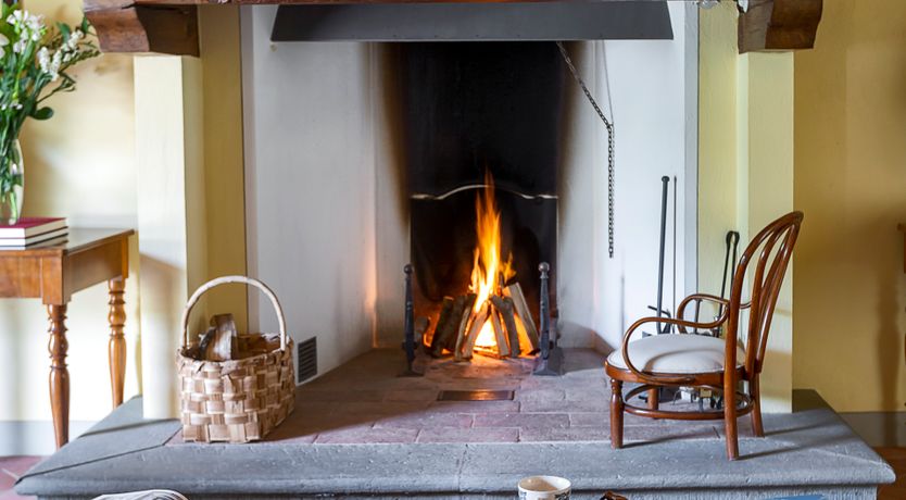 Photo of Canopy of Elegance