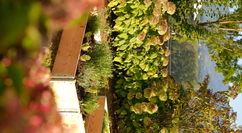 Photo of Canopy of Elegance