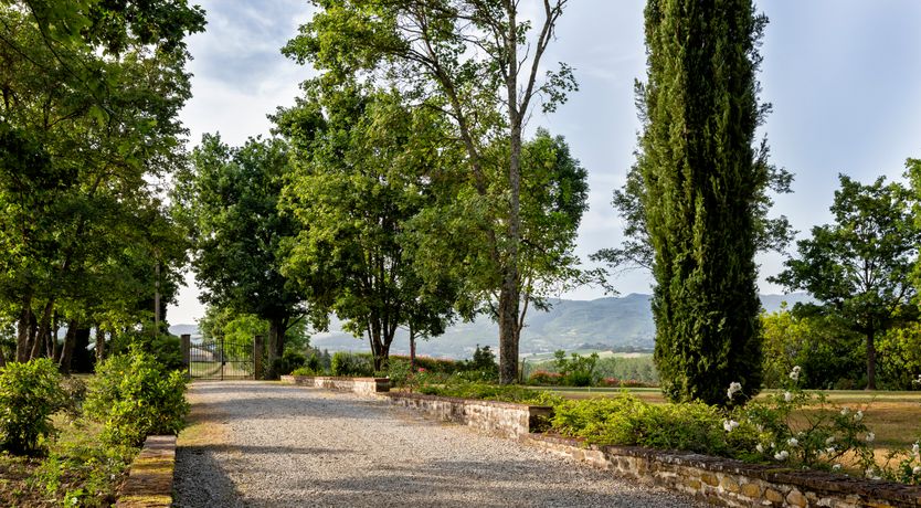 Photo of Canopy of Elegance