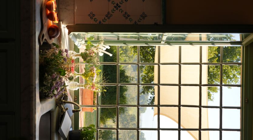 Photo of Canopy of Elegance
