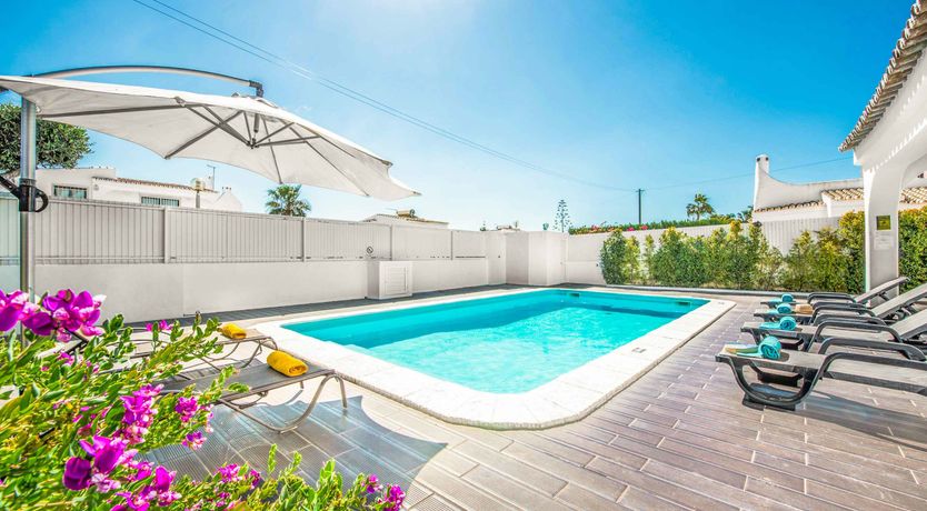 Photo of Palm Trees & Turquoise Seas