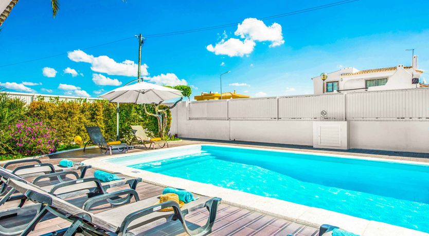 Photo of Palm Trees & Turquoise Seas