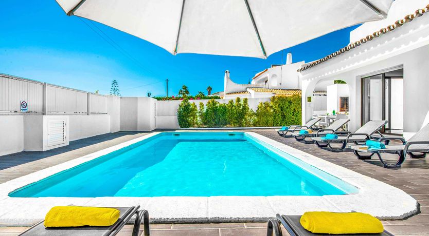 Photo of Palm Trees & Turquoise Seas