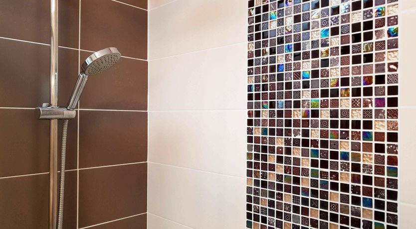 Photo of The Little Bird