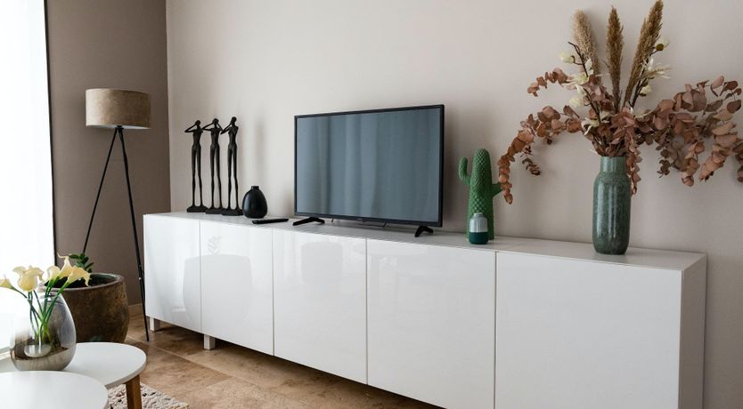 Photo of The Little Bird