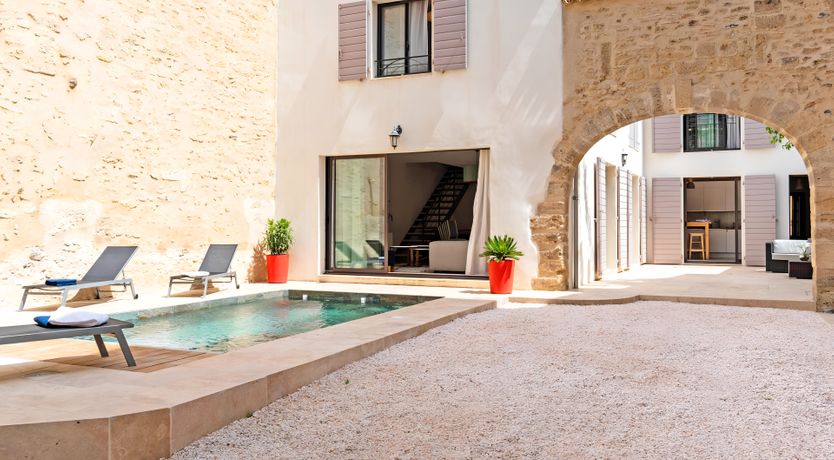 Photo of The Little Bird