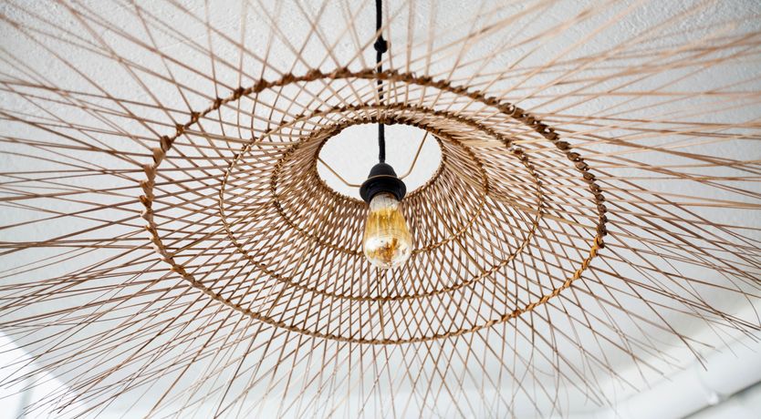 Photo of Tangerines on the Terrace