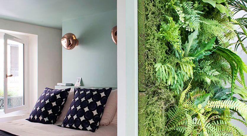 Photo of Light of Beauty