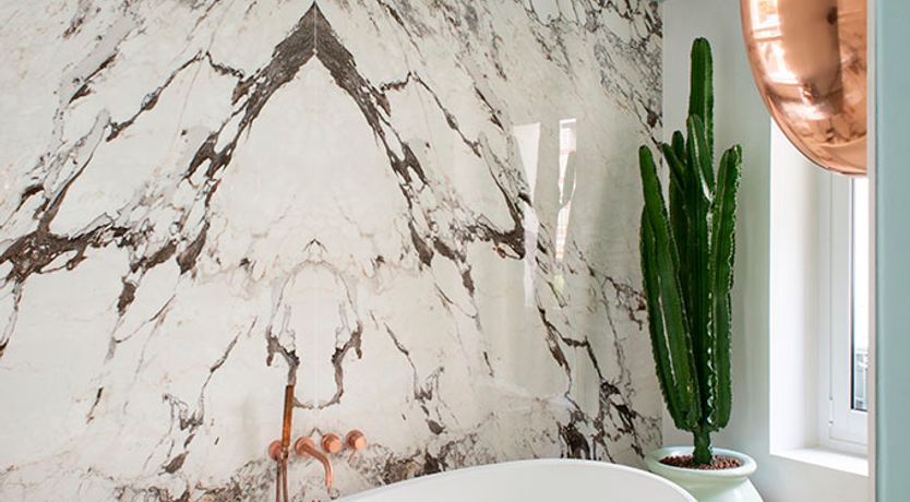 Photo of Light of Beauty