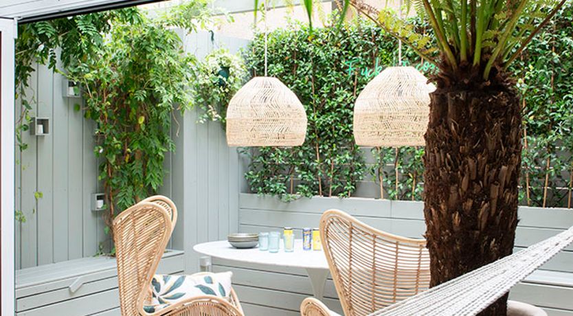 Photo of Light of Beauty