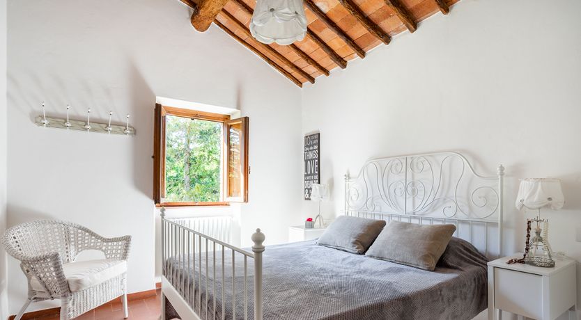 Photo of Sunflowers & Sangiovese