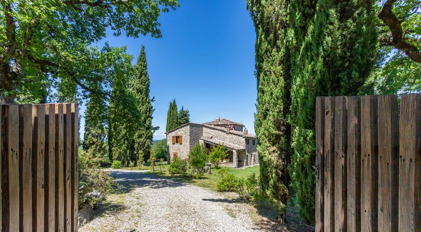 Photo of Sunflowers & Sangiovese