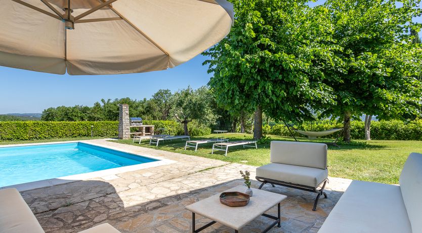 Photo of Sunflowers & Sangiovese