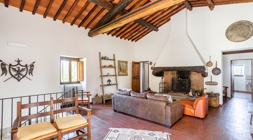 Photo of Sunflowers & Sangiovese