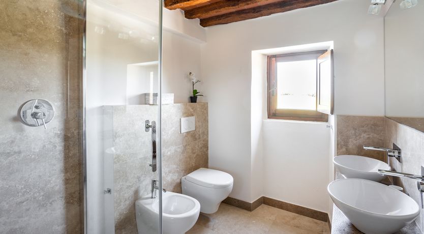 Photo of Sunflowers & Sangiovese