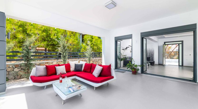 Photo of Pine Perfection