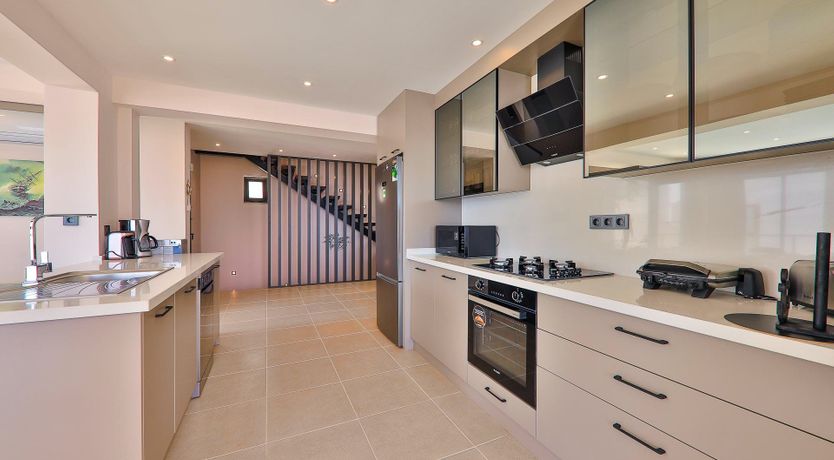 Photo of Blue Fairytale